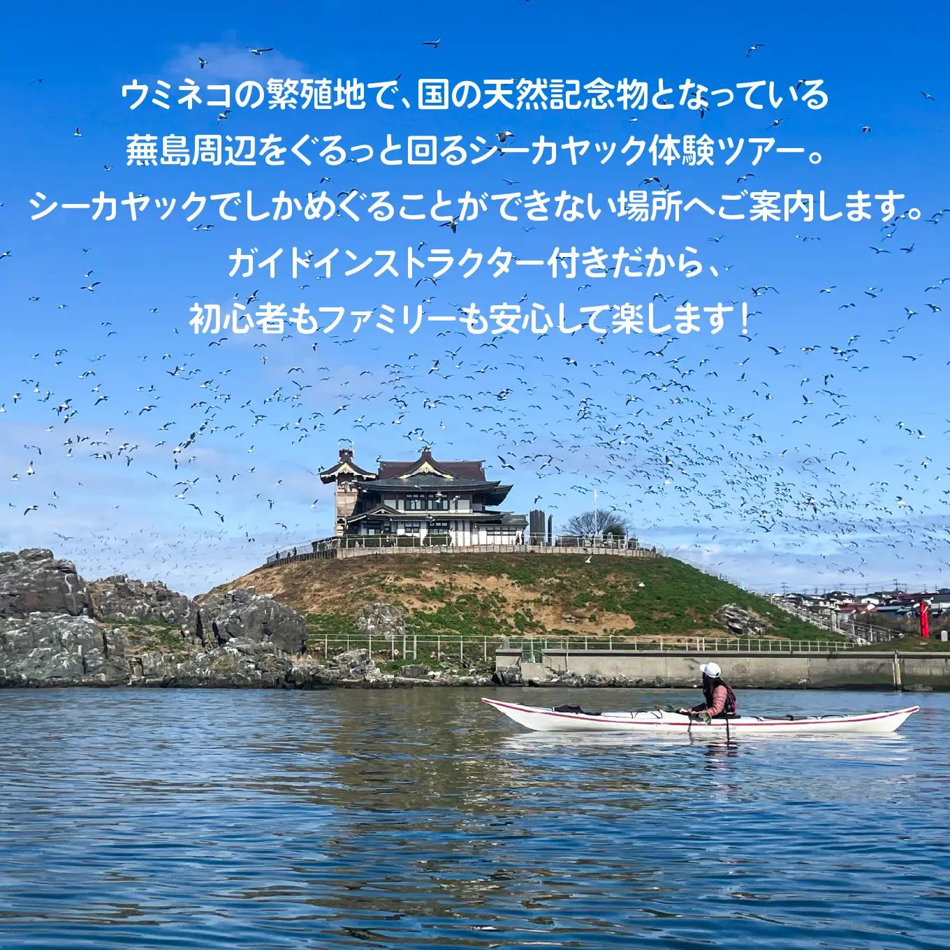 カイタック（OUTDOORBOX RIVERRUNS） うみねこ舞う蕪島でシーカヤック体験 アクティビティ チケット 青森県 八戸市
