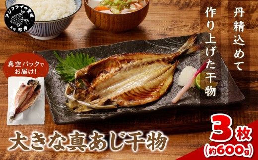 大きな真あじ干物1枚200g×3(約600g) ( アジ 特大真あじ 干物 小分け )【A8-025】