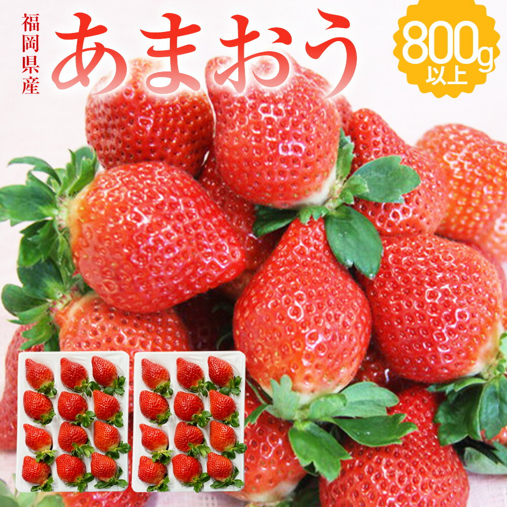 【ふるさと納税】福岡県産 あまおう 2パック 合計約800g以上 いちご 苺 フルーツ 果物 九州産 糸田町産 送料無料 【2026年1月上旬-3月下旬発送】