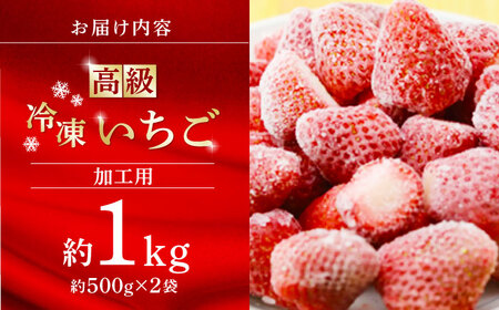 【数量限定】高級 冷凍  いちご 加工用 約1kg（約500g×2袋）【伊藤農園】 果物 フルーツ イチゴ いちご 苺 熊本県 特産品 オーガニック 有機いちご 恋みのり 冷凍 冷凍いちご 熊本県産い