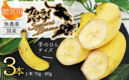 高知県産 侍バナナ｜無農薬・国産・農家直送 手のひらサイズ 3本 贈答用 バナナ フルーツ 果物 ギフト 冷凍フルーツ バナナ サムライ スムージー ふるさと納税