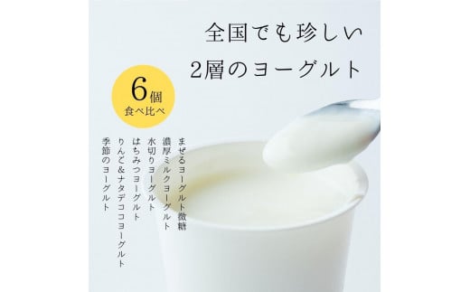 ヨーグルト 食べ比べ ヨーグルト専門店 「 三朝ヨーグルト 」 6個 ( 6種 × 各1個 )