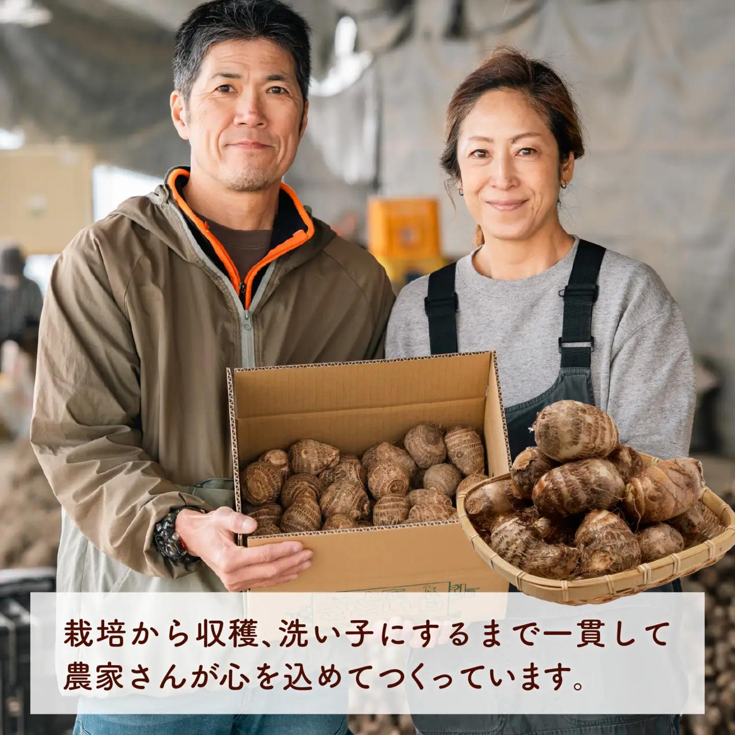 【先行予約】【12月発送】上庄の里芋の洗い子 【カット冷凍】計1kg