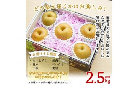 A-138 ＜先行予約受付中！2025年8月中旬～10月上旬の間に発送予定＞梨詰め合わせ(約2.5kg前後)【さくら農園】なし 梨 豊水 フルーツ 果物 期間限定