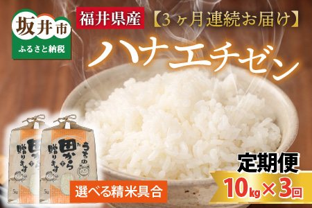 【先行予約】【令和8年産・新米】定期便 ≪3ヶ月連続お届け≫ ハナエチゼン10kg×3回 計30kg ～本原農園からまごころコメて～（白米）【2026年9月上旬以降順次発送予定】 [H-8908]