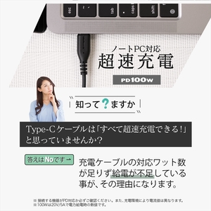 Owltech(オウルテック) しなやかで断線に強い しかもノートPCも充電OK PowerDelivery100W対応　Type-C to Type-Cケーブル OWL-CBKGBCC20-BK