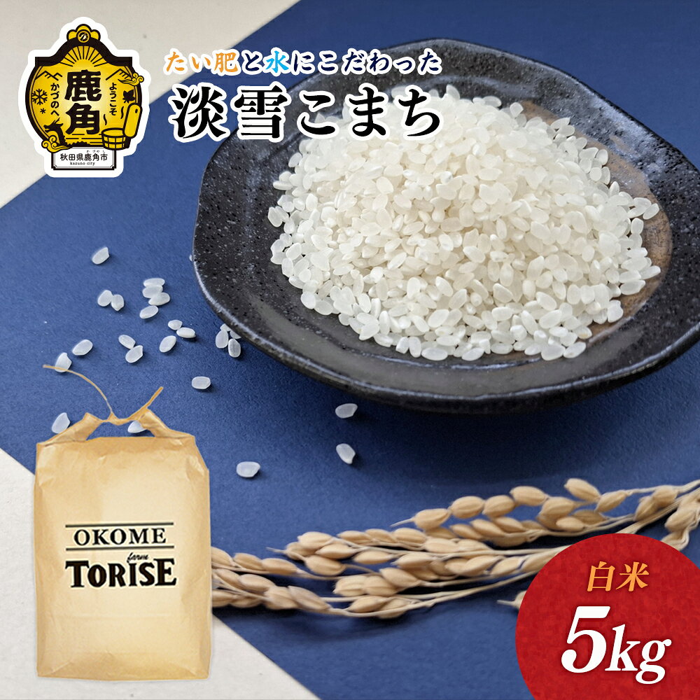 【ふるさと納税】《 先行予約 》令和8年産 淡雪こまち 白米 5kg 単品【トライズ】米 精米 白米 単一原料米 国産米 ブランド米 精米 もっちり 県産米 お米 こめ コメ 秋田県 あきた 鹿角市 鹿角 送料無料