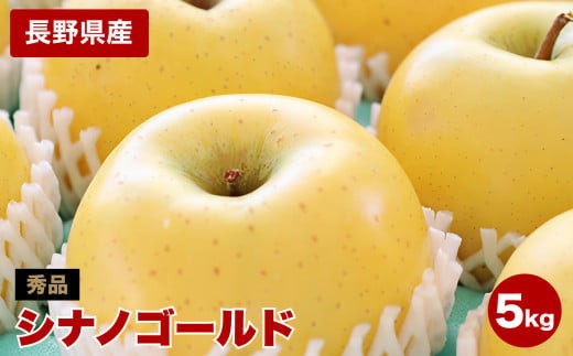 ジューシー な 黄金色 りんご シナノゴールド 約5kg 秀品 〈2026年10月下旬～11月下旬発送〉| 山下屋荘介 果物 くだもの フルーツ りんご 黄金食りんご シナノゴールド 長野県 信州 南信州 飯田市