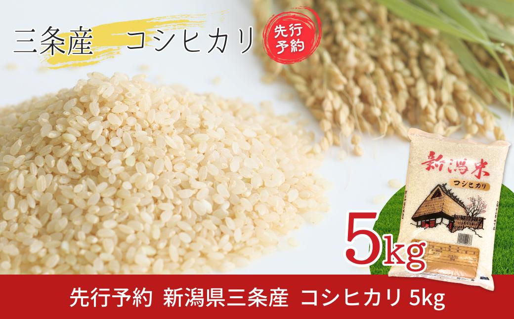 
            先行予約 新潟県三条産コシヒカリBL  5kg×1袋 令和7年産コシヒカリ 精米 新潟県産コシヒカリ 【016S082】
          