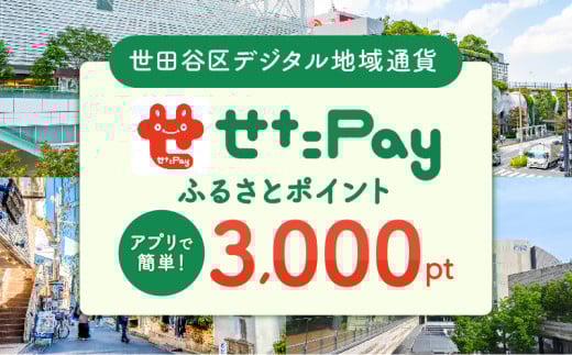 世田谷区 地域限定通貨「せたがやPay」 ふるさとポイント3,000pt（1pt＝1円）【3,000円分 せたぺい デジタル地域通貨 電子決済 キャッシュレス 飲食 宿泊 体験 電子通貨 東京都 世田谷】