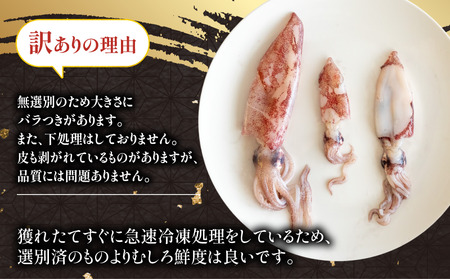 訳あり アカイカ 約2kg(400gx5パック)不揃い 小分 冷凍 刺身 セリから直送 ケンサキイカ【配送不可地域：離島】【1436426】