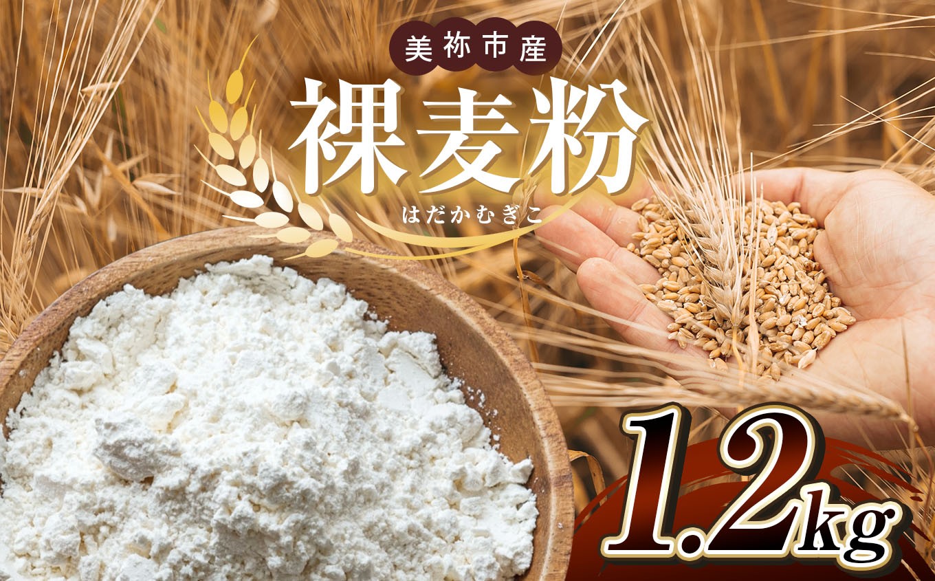 
                  美祢市産 裸麦粉 1.2kg ( 1袋300g×4 )   ｜    裸麦子 健康 ヘルシー 健康食品 ぽんぽこの里 山口県 美祢市 美祢
                