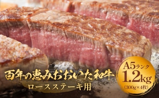 「百年の恵み おおいた和牛 」A5 ロースステーキ用 300g×４枚 おおいた和牛 黒毛和牛 A5 ロースステーキ 和牛 牛肉 霜降り 大分 ステーキ 冷凍