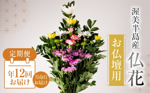 【定期便　年4回】産地直送 《お仏壇用》 仏花 日時指定可 生産額 日本一 田原市 渥美半島 月命日 お彼岸 お盆 年末 鮮度 生花 お花 定期便 お墓まいり