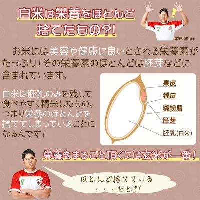 ふるさと納税 碧南市 やわらかい玄米 900g×50袋　※定期便12回　　H074-636 |  | 02