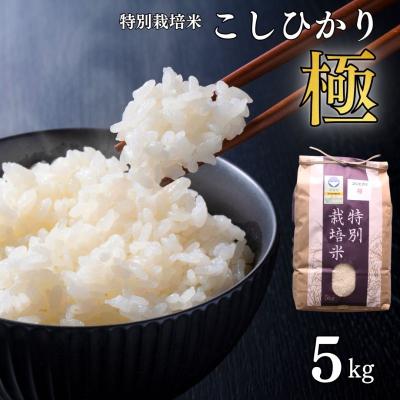ふるさと納税 三条市 特別栽培米 コシヒカリ「極」 5kg 令和8年産 こしひかり 県認証特栽米【012S076】