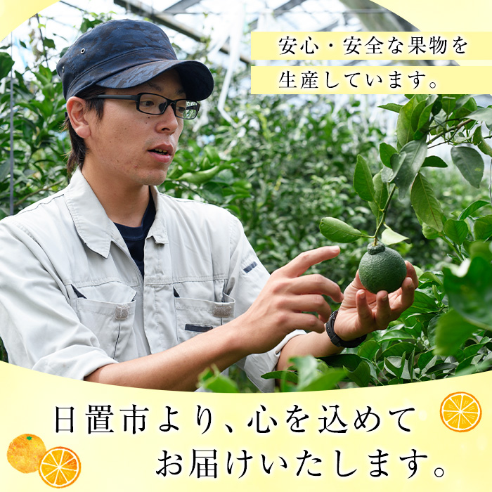 No.148 ＜先行予約受付中！2026年7月下旬から発送＞鹿児島県産 グリーンハウスみかん(計3kg) ミカン 蜜柑 柑橘 果物 フルーツ 小ぶり 青果 鹿児島 ギフト 贈答【黒川農園】
