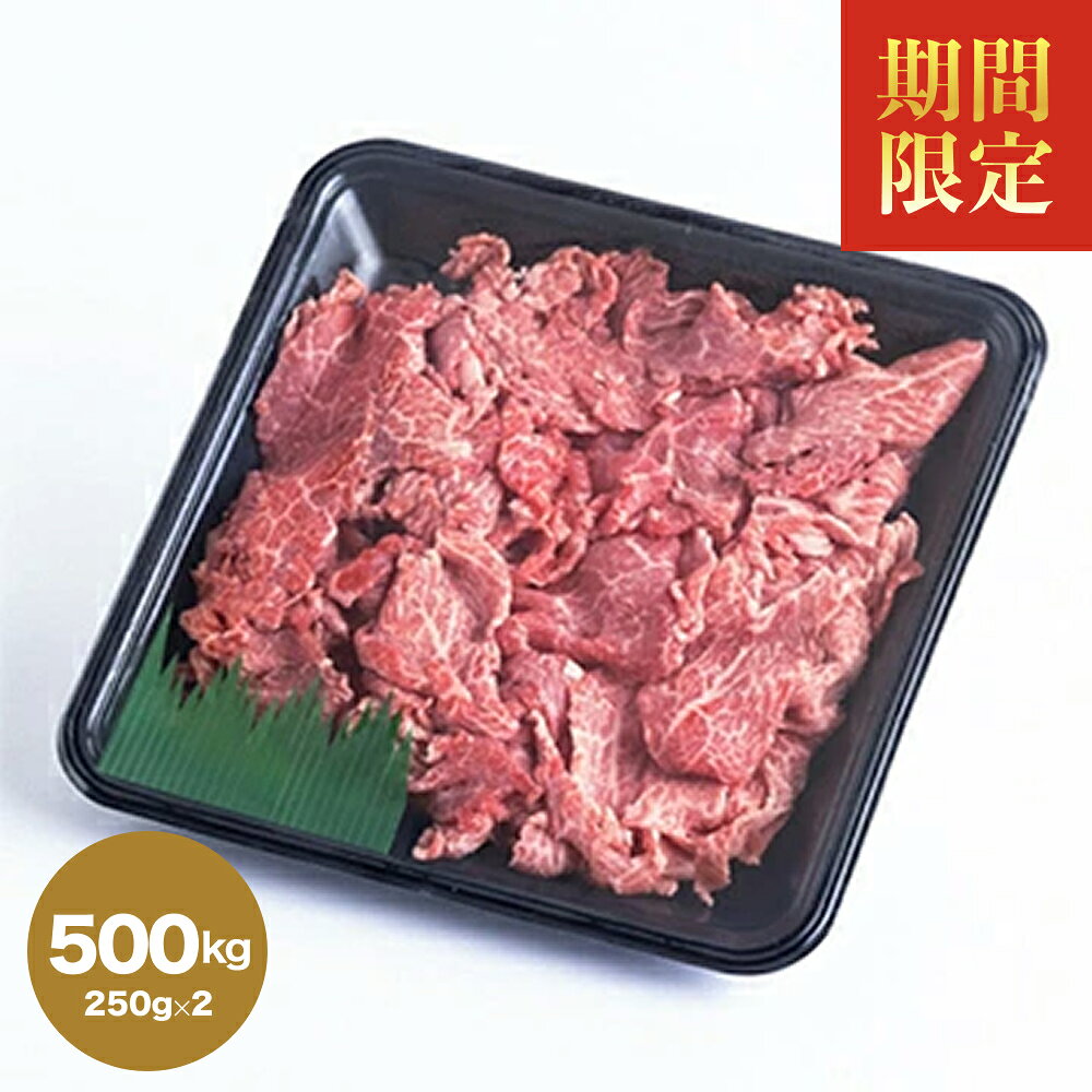 【ふるさと納税】 期間限定 たかどや牧場産 黒毛和牛 信州牛 切り落とし 500g ( 250g × 2パック ) | 肉 牛肉 黒毛和牛 信州牛 切り落とし 炒め物 料理 長野県 飯田市 信州
