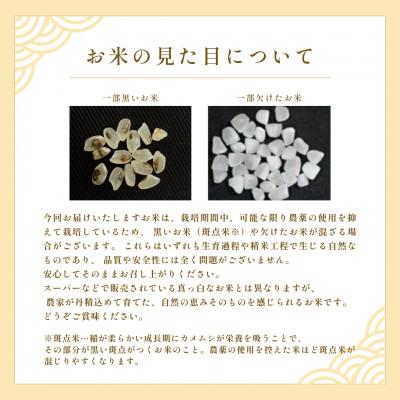ふるさと納税 産山村 【令和7年産新米】池山水源の清流で育てた幸せ米　いのちの壱　玄米(30kg×1袋) |  | 03