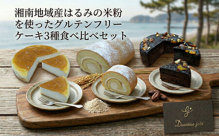  ケーキ グルテンフリー 3種セット 米粉 ケーキ