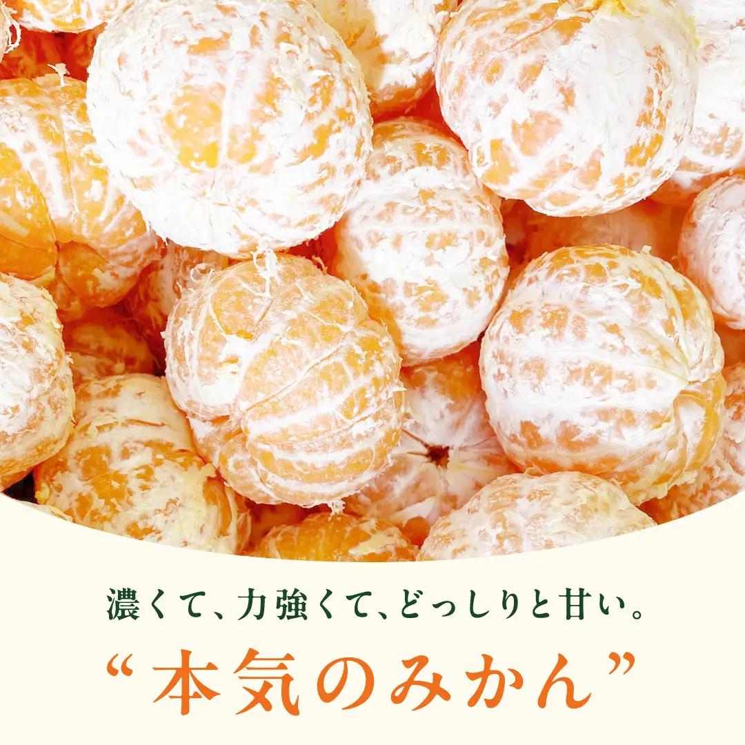 【 お試し少量 約1kg 】オーガニック 瀬戸内みかん (8～13個程度) 【2026年10月中旬～1月発送】 少量 国産 有機JAS認証