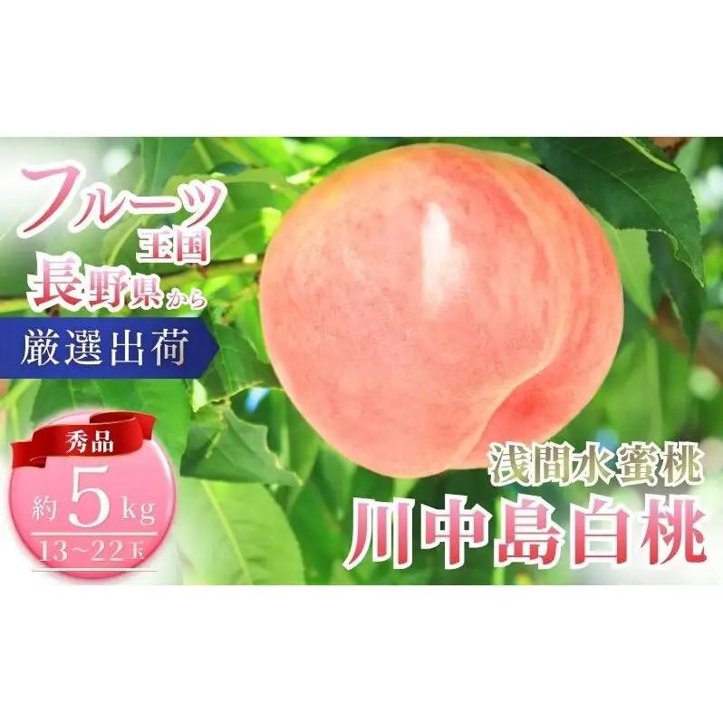 桃 川中島白桃 約5kg 13～22玉 フルーツ 果物