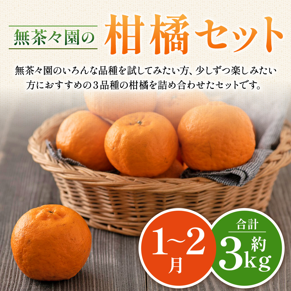 ＜無茶々園の柑橘セット 約3kg（1～2月）＞ フルーツ 果物 くだもの 伊予柑 ポンカン みかん ミカン 詰め合わせ 食べ比べ 愛媛県 西予市