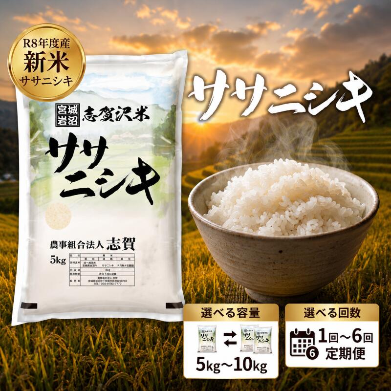 【ふるさと納税】 [令和8年産] 新米 ササニシキ [選べる容量/回数] おこめ 白米 精米 ライス ごはん 銘柄米 さっぱり あっさり 希少 プレミアム 和食 くどくない 甘すぎない 香り おべんとう 弁当 おにぎり 大粒 食味 毎日の食卓 飽きない 日本人の原点 志賀沢米 岩沼産米