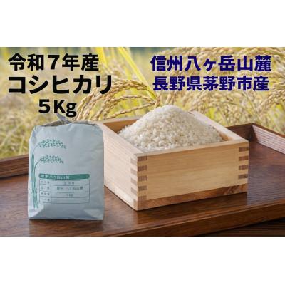 ふるさと納税 茅野市 【令和7年産】信州八ヶ岳山麗 長野県産コシヒカリ 精米5kg(5kg×1袋)
