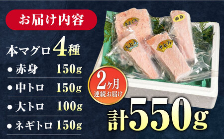【全2回定期便】対馬産 本マグロ 4種 計550g（赤身/中トロ/大トロ/ネギトロ）《対馬市》【対海】 新鮮 マグロ 鮪 本鮪 赤身 中トロ 大トロ ねぎとろ 海鮮 冷凍[WAH033]