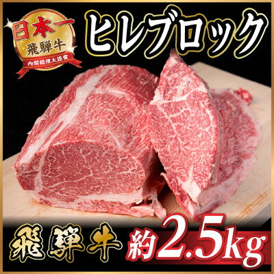 【ふるさと納税】飛騨牛 ヒレブロック 約2.5kg ローストビーフやステーキ、焼肉、BBQにおすすめ【配送不可地域：離島】【1762613】