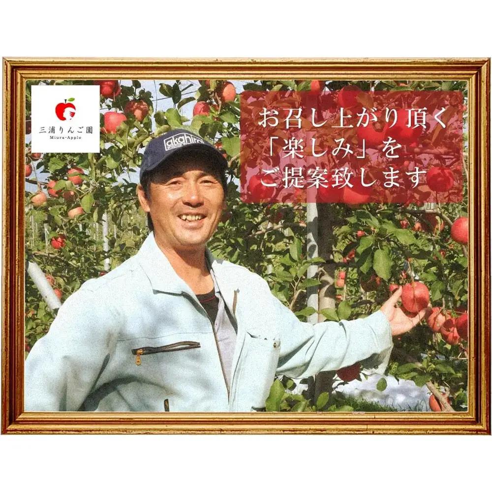【26年11月下旬～発送】りんご シナノスイート【訳あり】約3kg 糖度13度以上（糖度証明書付）【先行受付】家庭用 青森県 弘前市 果物 フルーツ 林檎 リンゴ くだもの 不揃い 規格外
