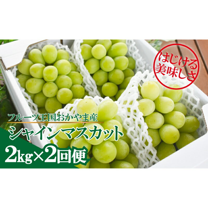 【ふるさと納税】 【発送月固定定期便】【きよとうファーム】シャインマスカットを楽しむ満足便!/全便計4.0kg〜全2回【9月 10月発送予定】【配送不可地域：離島】岡山 ぶどう ブドウ 葡萄 果物 フルーツ 甘い 定期便 産地直送【4066237】【KF-T046-02】