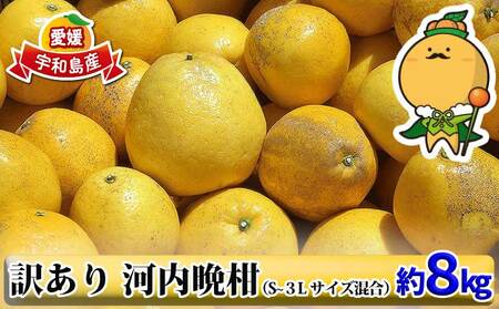 河内晩柑 訳あり 8kg S～３L サイズ 混合 中井屋 先行予約 愛媛みかん わけあり ワケアリ 訳アリ 晩柑 かわちばんかん 和製 グレープフルーツ 愛媛ミカン 愛媛蜜柑 愛媛県産みかん 蜜柑 みかん mikan 爽やか 宇和島みかん 果物 くだもの フルーツ 柑橘 数量限定 産地直送 国産 愛媛 宇和島 B010-173006