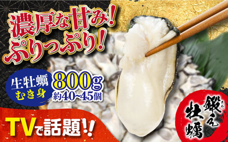 テレビで話題！【生牡蠣】【着日指定可能】ミルキーな甘みと濃厚な旨み！身が引き締まったプリップリのむき身 800g 人気 海鮮 簡単 レシピ ギフト 広島県産 江田島市/有限会社寺本水産[XAE002]