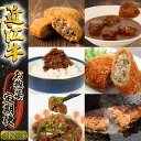 【ふるさと納税】 定期便 近江牛 惣菜 12回 12ヶ月 1年分 ハンバーグ 牛すじトロ煮 カレー お惣菜 メンチカツ ビーフシチュー しぐれ煮 黒毛和牛 お弁当 ブランド 近江牛 毎月 三大和牛 滋賀県 竜王 岡喜 神戸牛 松阪牛 に並ぶ 日本三大和牛