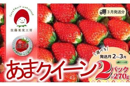 《2026年産先行予約》「西脇市産 佐藤果実工房 あまクイーン」（約270g×２パック 約540g）【佐藤果実工房 全国いちご選手権3年連続上位入賞農園 TVで紹介!】令和８年３月上旬配送分　07-53-3-上旬