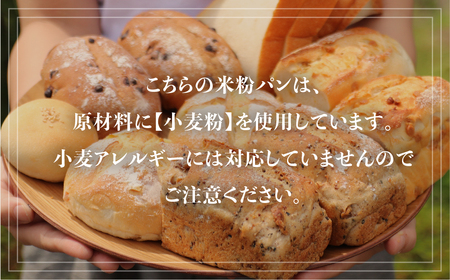 【定期便】6回お届け おまかせ冷凍パン（4～5種類 8～10個）お米の甘味がギュッと詰まった コシヒカリ 黄金の煌き 和仁農園  米粉 玄米粉 お楽しみ 詰め合わせ[Q1177]