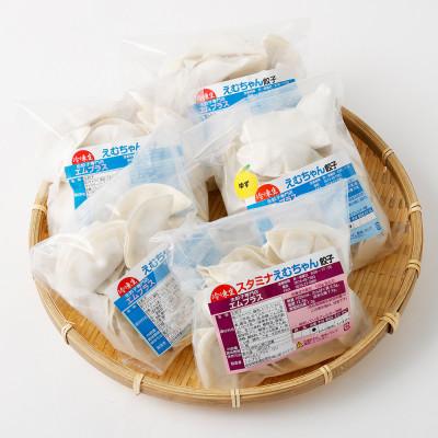 ふるさと納税 美濃加茂市 えむちゃん餃子食べ比べ5袋90個 |  | 03