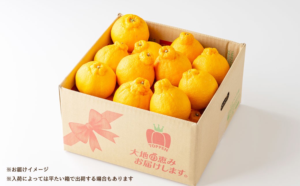 ハウス不知火おでこ