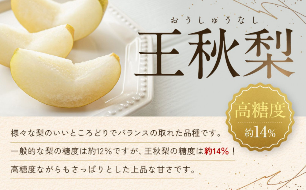【先行予約】ギフト用 数量限定 鳥取県産”王秋梨（おうしゅうなし）” 約5kg （8～15玉）≪2026年11月中旬頃出荷≫
