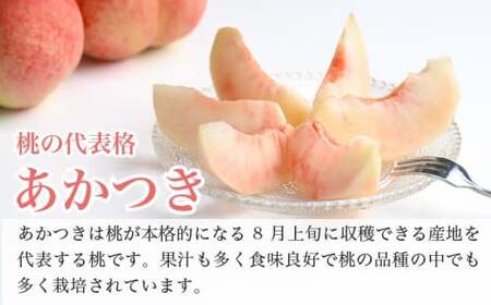 あかつき 約3kg 7～12玉 ［おぶせファーマーズ］桃 もも モモ フルーツ 果物 クール便 冷蔵便 長野県産 信州産  令和8年産【2026年7月下旬～8月上旬発送】［F-16］