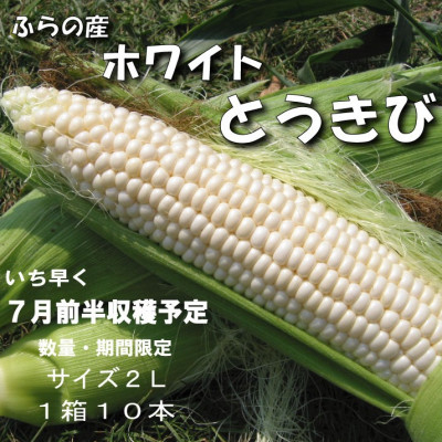 
            ＜2025年発送先行受付＞＜数量・期間＞ふらの産　ホワイト　とうきび　10本　サイズ2L　【1470193】
          