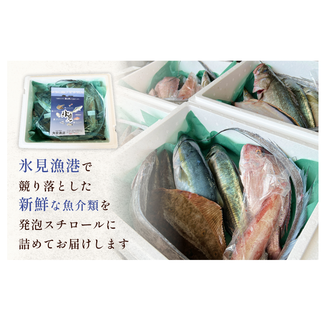 天然のいけす 富山湾 氷見漁港 旬の鮮魚セット※配送地域限定_イメージ2