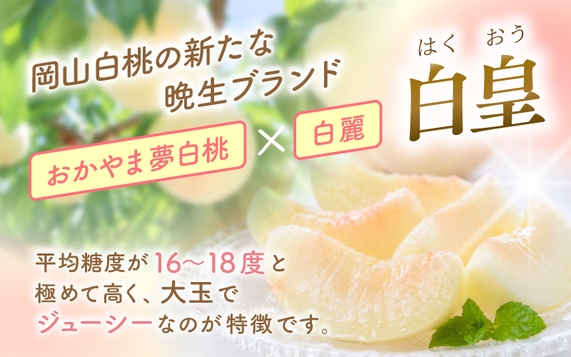 【2027年先行予約】 岡山県産 白皇 2kg 訳アリ 白桃 はくおう 花田青果【8月中旬～9月初旬まで順次発送予定】/ 桃 もも モモ 果物フルーツ 訳あり品 岡山県【hnds007-01】