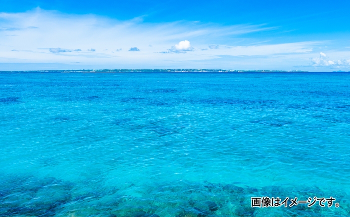 あおさ アーサ あーさ アオサ 乾燥アーサ海藻 国産 小分け 沖縄県産 沖縄県 沖縄市