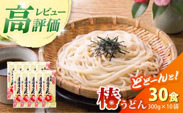 
                  【一番コシの強い！】椿 うどん 300g×10袋 五島うどん 保存食 手延 椿 つばき 麺 乾麺 コシ 手作り 名物 小分け 大容量 保存食 常温保存 人気 おすすめ  【中本製麺】 [RAO013]
                