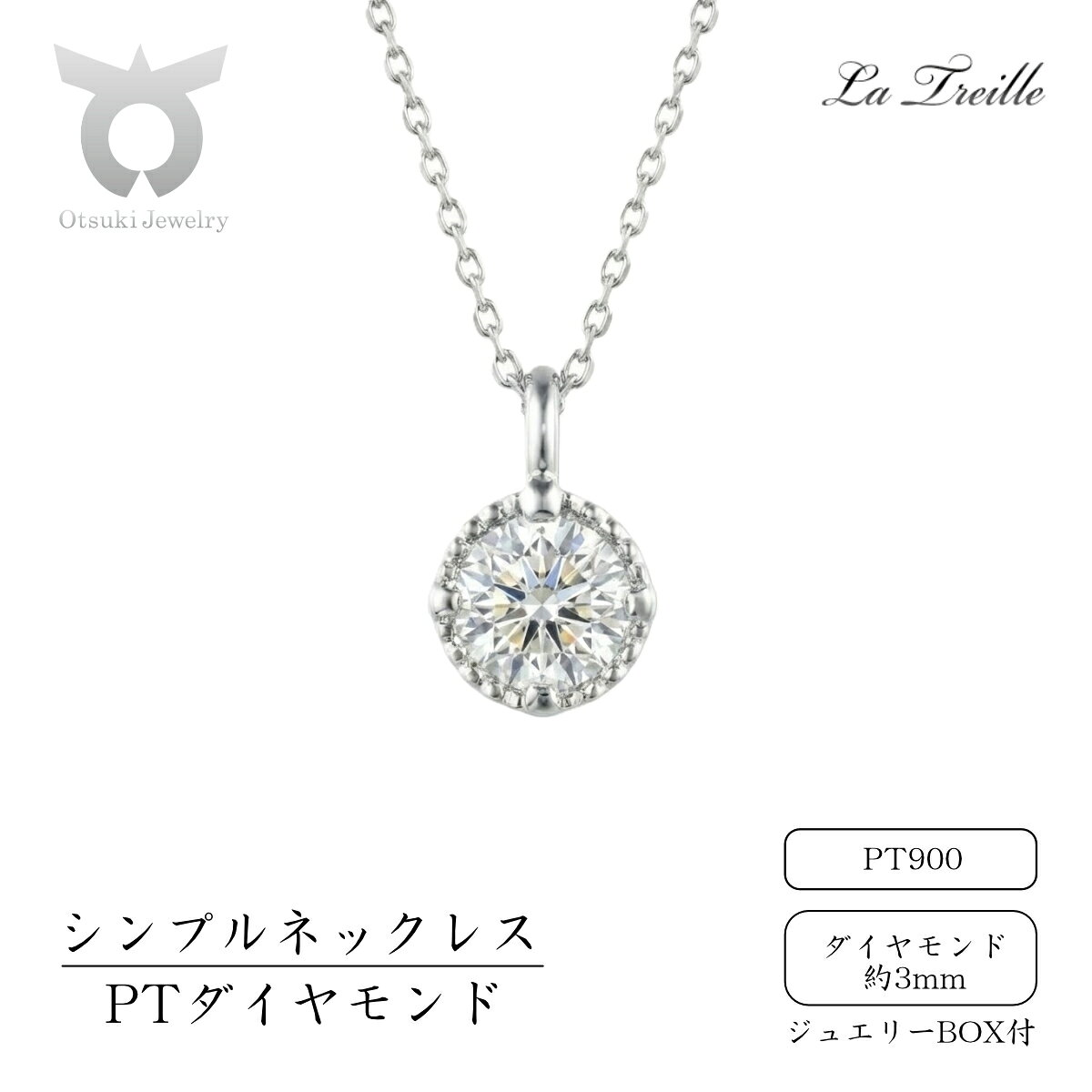 【ふるさと納税】シンプルネックレス　プラチナ（ダイヤ）