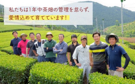 うれしの紅茶 5種 飲みくらべセット A【うれしの紅茶振興協議会】[NAP005]  紅茶 茶 お茶 佐賀 嬉野産紅茶 うれしの紅茶 紅茶 和紅茶 紅茶飲み比べ 和紅茶飲み比べ 紅茶ティーバック 紅茶