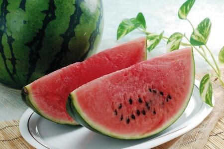 【2025年6月中旬発送】小玉スイカ 1kg（1玉）スイカ すいか 西瓜 小玉 先行予約 フルーツ 果物  石川 金沢 加賀百万石 加賀 百万石 北陸 北陸復興 北陸支援